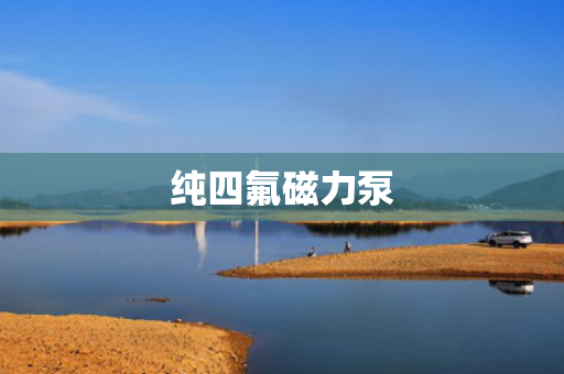 纯四氟磁力泵