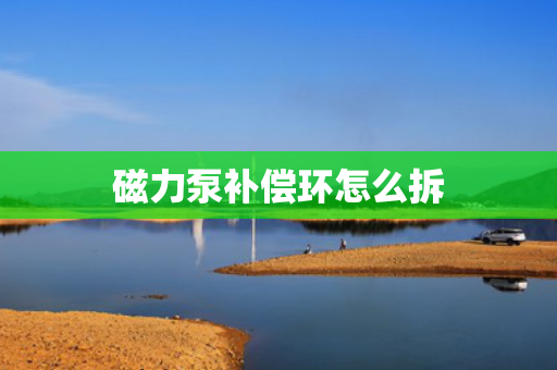磁力泵补偿环怎么拆