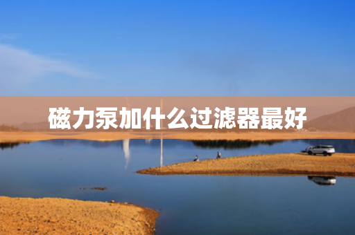 磁力泵加什么过滤器最好
