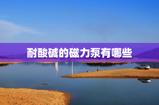 耐酸碱的磁力泵有哪些