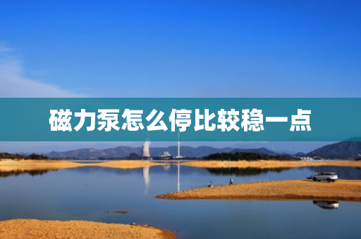 磁力泵怎么停比较稳一点
