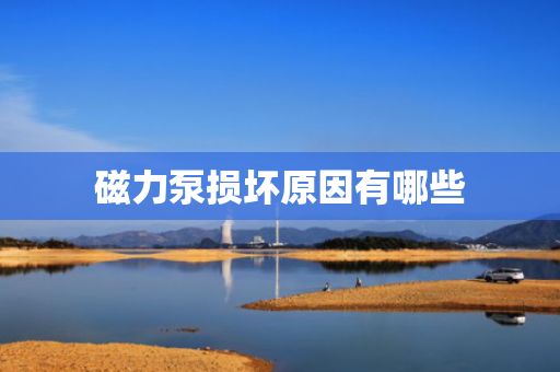 磁力泵损坏原因有哪些