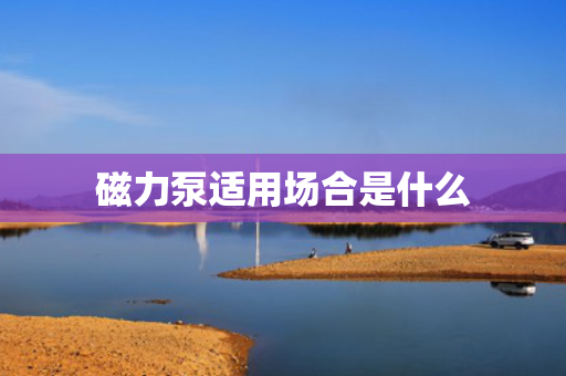 磁力泵适用场合是什么