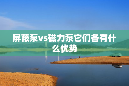 屏蔽泵vs磁力泵它们各有什么优势