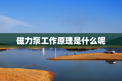 磁力泵工作原理是什么呢