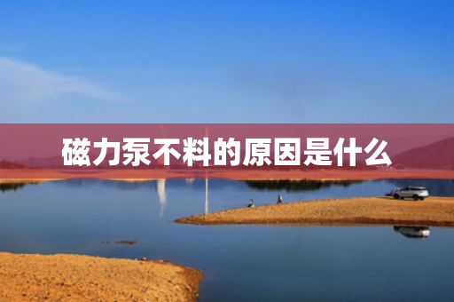 磁力泵不料的原因是什么