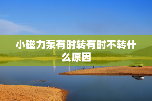 小磁力泵有时转有时不转什么原因