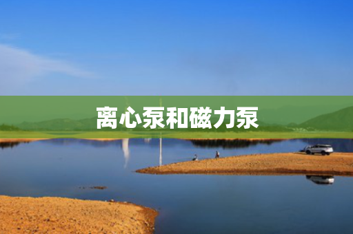 离心泵和磁力泵