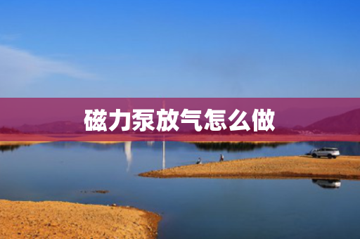 磁力泵放气怎么做