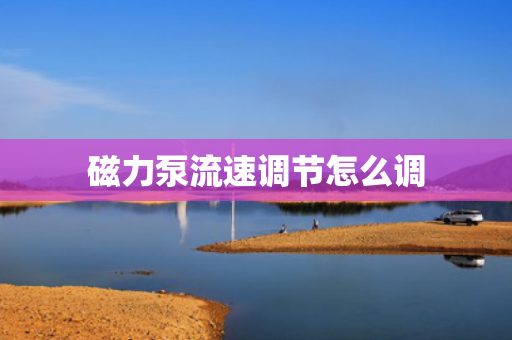 磁力泵流速调节怎么调