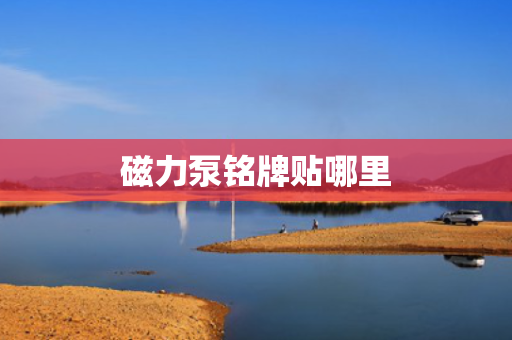 磁力泵铭牌贴哪里