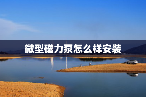 微型磁力泵怎么样安装