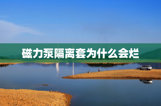 磁力泵隔离套为什么会烂