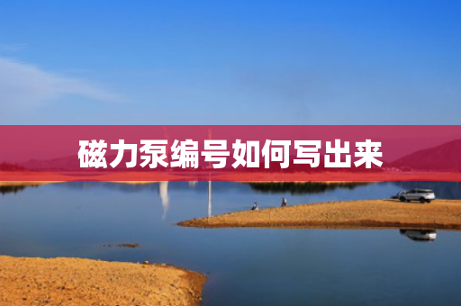 磁力泵编号如何写出来