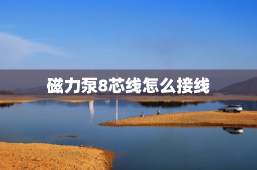 磁力泵8芯线怎么接线