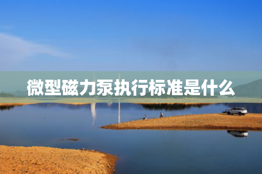 微型磁力泵执行标准是什么