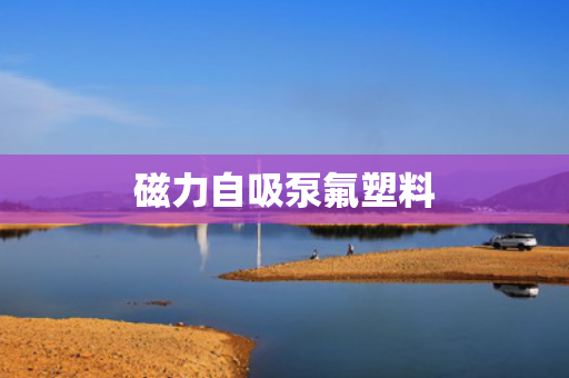 磁力自吸泵氟塑料