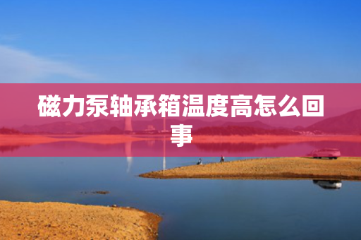 磁力泵轴承箱温度高怎么回事