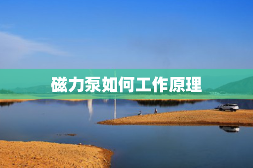 磁力泵如何工作原理