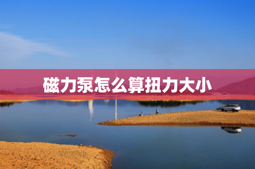 磁力泵怎么算扭力大小