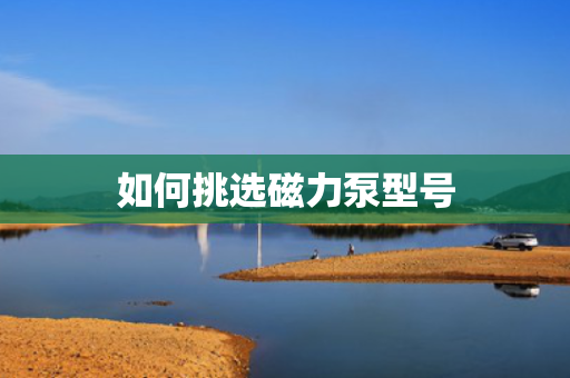 如何挑选磁力泵型号