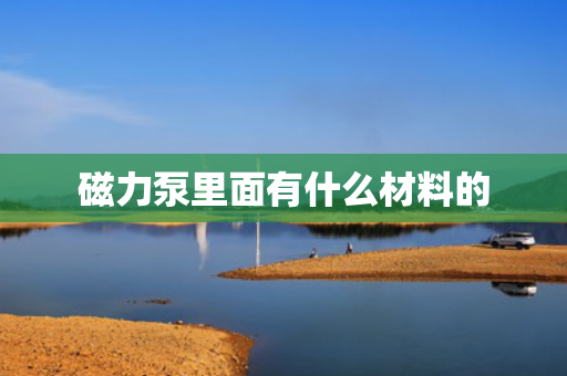 磁力泵里面有什么材料的