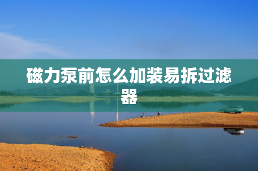 磁力泵前怎么加装易拆过滤器