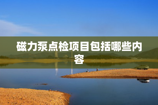 磁力泵点检项目包括哪些内容
