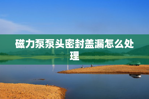 磁力泵泵头密封盖漏怎么处理