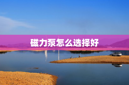 磁力泵怎么选择好
