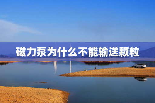 磁力泵为什么不能输送颗粒