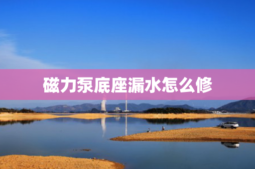 磁力泵底座漏水怎么修