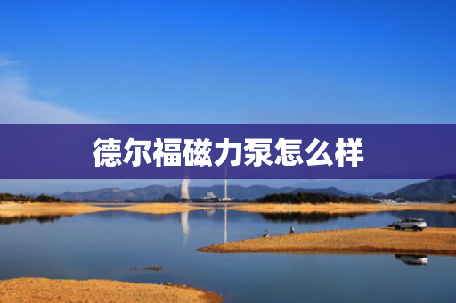 德尔福磁力泵怎么样