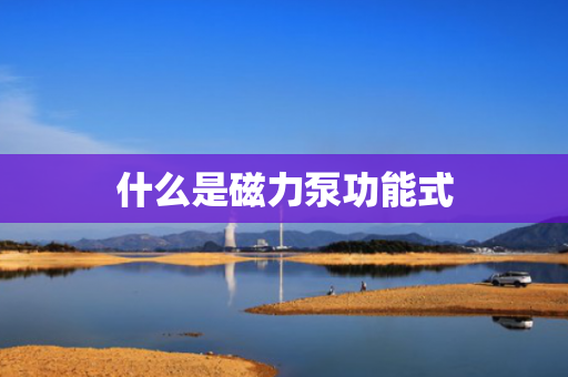 什么是磁力泵功能式