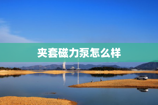 夹套磁力泵怎么样