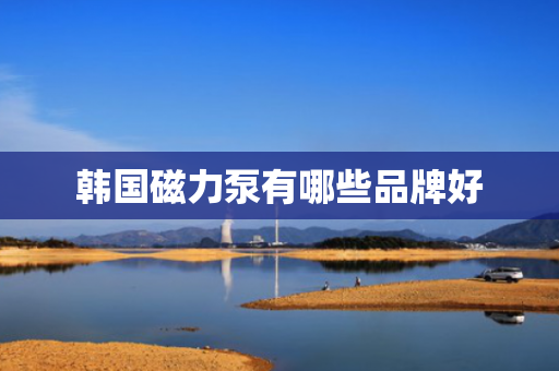 韩国磁力泵有哪些品牌好