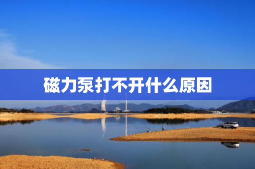磁力泵打不开什么原因