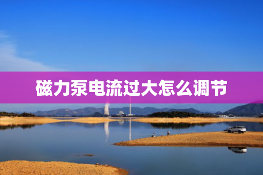 磁力泵电流过大怎么调节