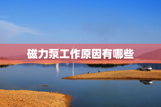 磁力泵工作原因有哪些