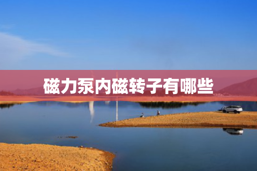 磁力泵内磁转子有哪些
