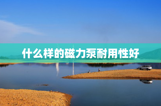 什么样的磁力泵耐用性好