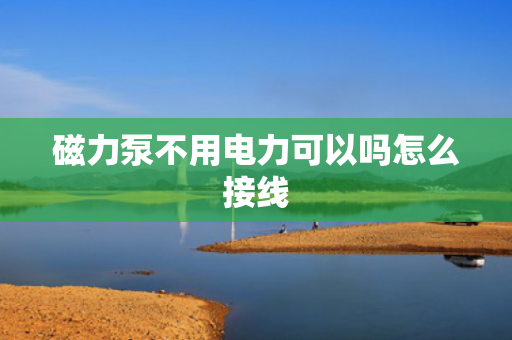 磁力泵不用电力可以吗怎么接线