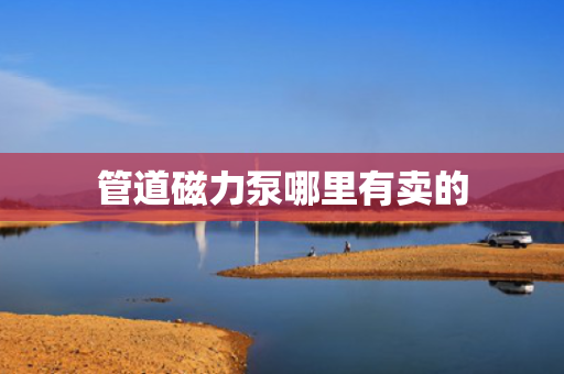 管道磁力泵哪里有卖的