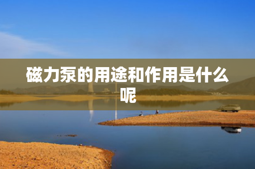 磁力泵的用途和作用是什么呢