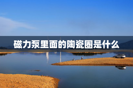 磁力泵里面的陶瓷圈是什么