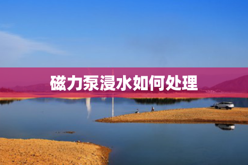 磁力泵浸水如何处理
