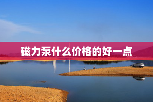 磁力泵什么价格的好一点