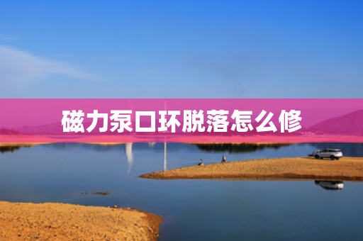 磁力泵口环脱落怎么修