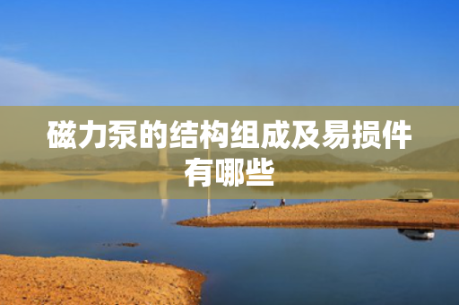 磁力泵的结构组成及易损件有哪些