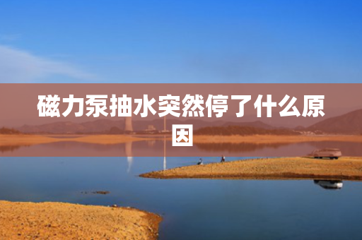 磁力泵抽水突然停了什么原因
